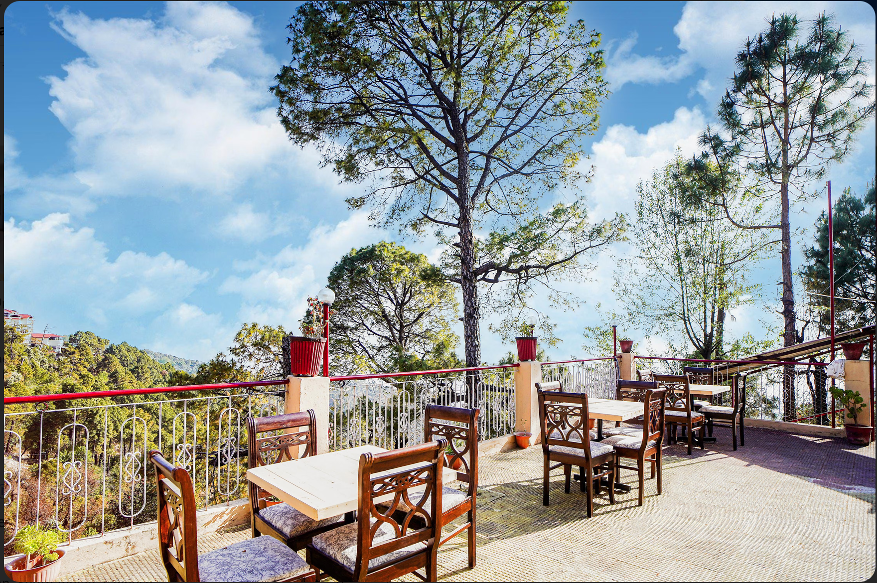 Open-air terrace set with tables and chairs overlooking the pine hillside